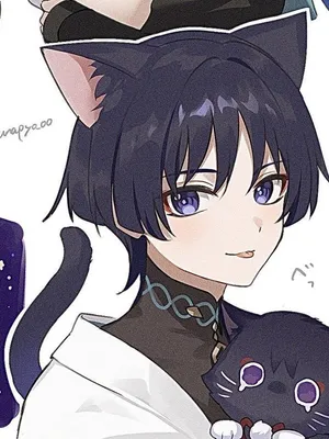 猫小子徒步旅行者