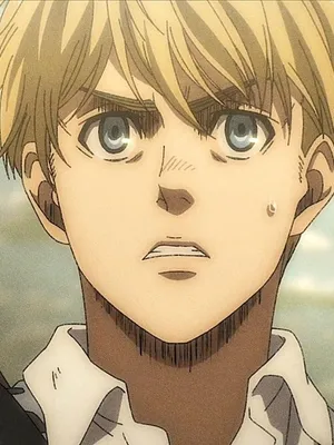 阿明·阿尔勒特