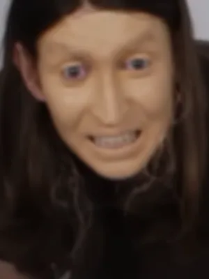 Felca 与弗吉尼亚基地