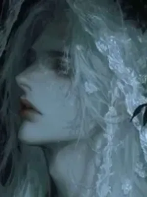 穿越：种马主角太执着