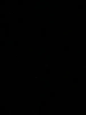 僵尸启示录|女人的遭遇