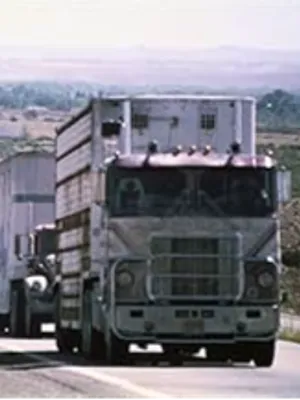 车队无线电喋喋不休