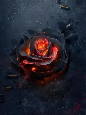 《山海经残卷》